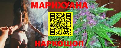 сатива Моздок