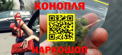сатива Моздок