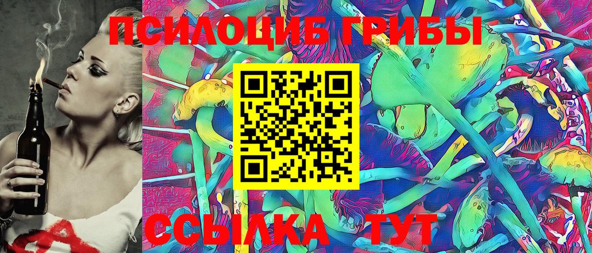 Соль-Илецк  Галлюциногенные грибы MAGIC MUSHROOMS  Псилоцибиновые грибы прущие грибы  Вход с VPN 